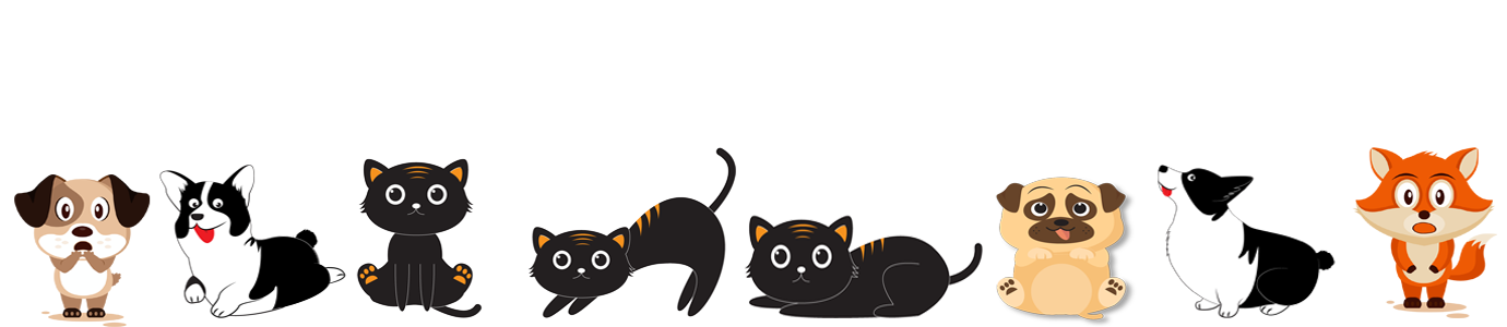 　アーニー動物病院